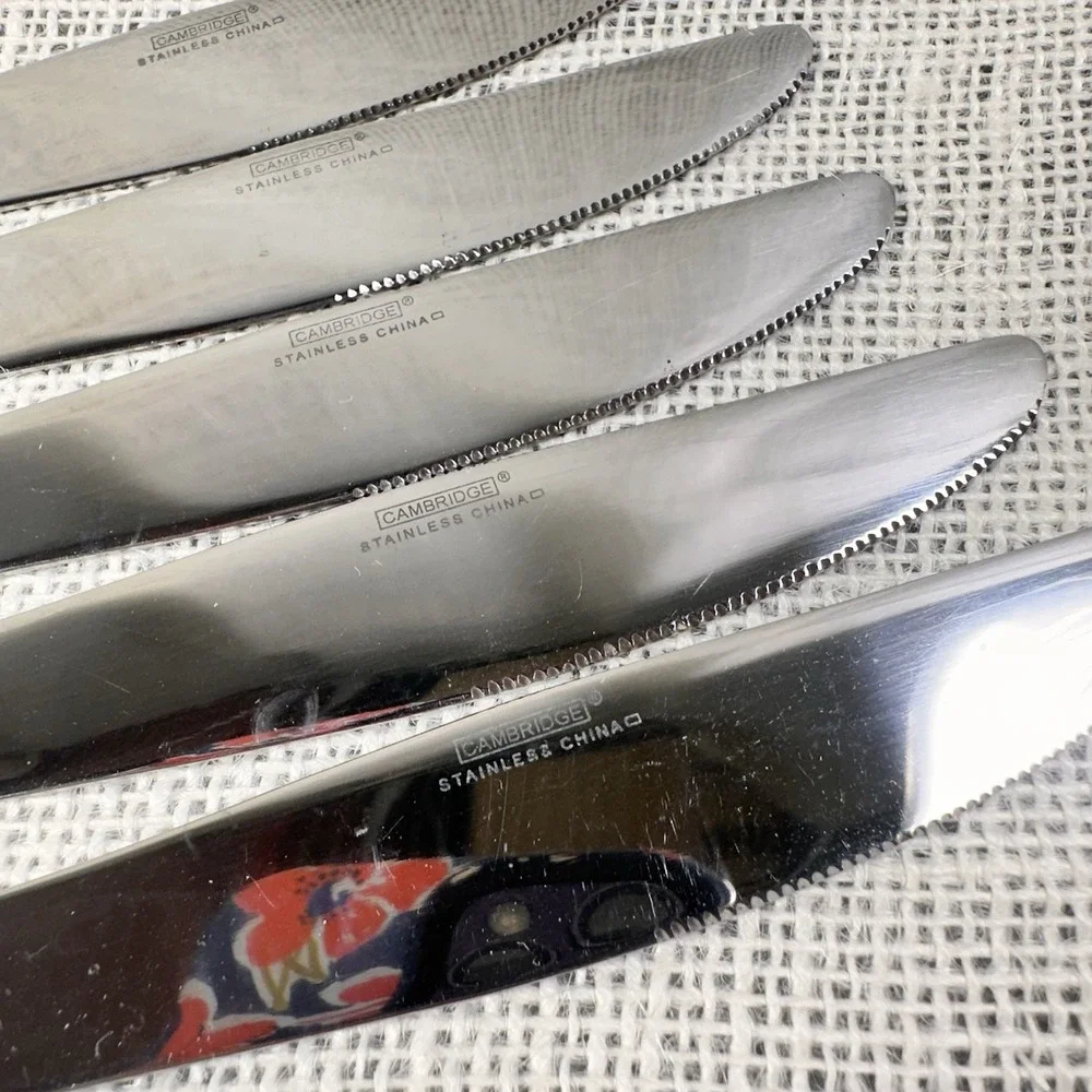 Cambridge Axis Stainless Knives Set Of 5 Triple‎ Band Pattern Flatware China